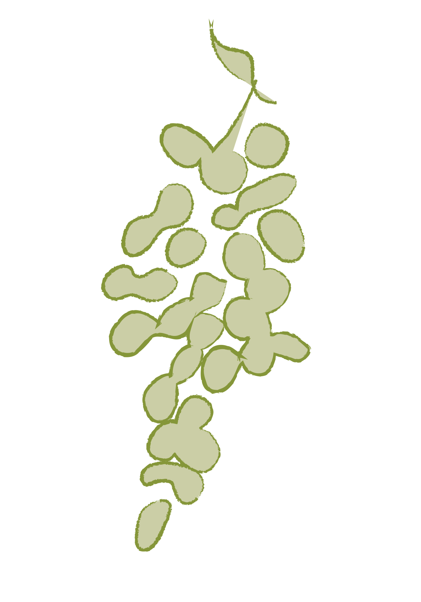 Grapes